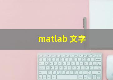 matlab 文字